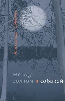 Александр Соболев - Между волком и собакой