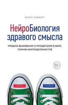 Келли Ламберт - Нейробиология здравого смысла. Правила выживания и процветания в мире, полном неопределенностей