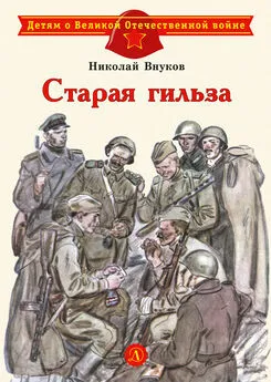 Николай Внуков - Старая гильза