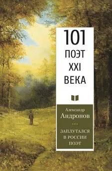 Александр Андронов - Заплутался в России поэт