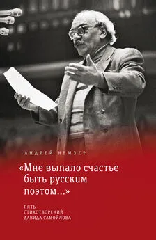 Андрей Немзер - «Мне выпало счастье быть русским поэтом…»