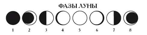 1 Новолуние 2 серповидная Луна 3 первая четверть Луны4 выпуклая - фото 3