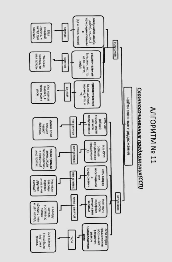 Русский язык в алгоритмах Часть 2 Пунктуация в 20 алгоритмах - фото 12