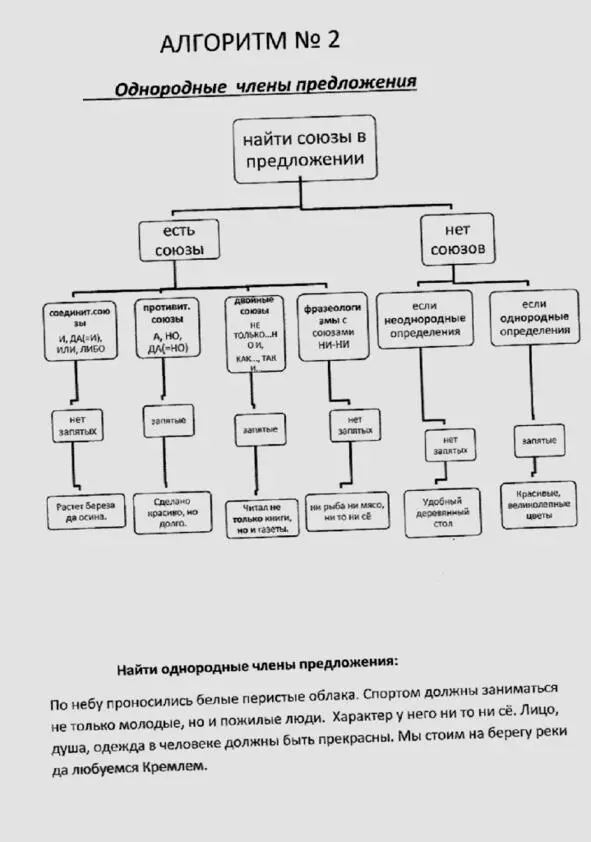 Русский язык в алгоритмах Часть 2 Пунктуация в 20 алгоритмах - фото 3