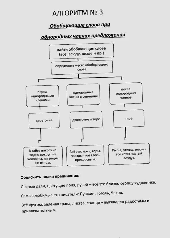 Русский язык в алгоритмах Часть 2 Пунктуация в 20 алгоритмах - фото 4