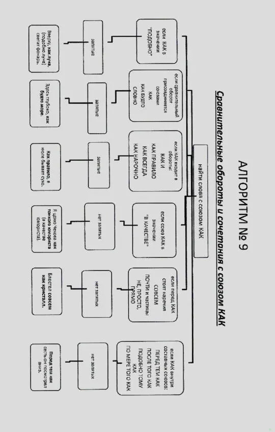 Русский язык в алгоритмах Часть 2 Пунктуация в 20 алгоритмах - фото 10