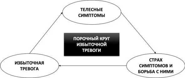 Рис 7 Порочный круг избыточной тревоги Но весь парадокс заключается в том - фото 11