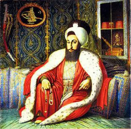Селим III Вдоль узкого дарданельского прохода англичан уже поджидали десятки - фото 12