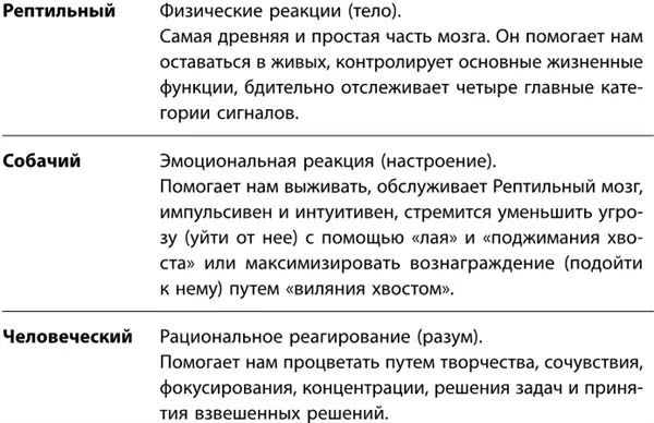Как рептильный и собачий мозги давят авторитетом Когда происходит чтото - фото 8