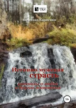 Вячеслав Карпенко - Истинно мужская страсть