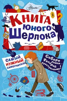 Стюарт Росс - Книга юного Шерлока