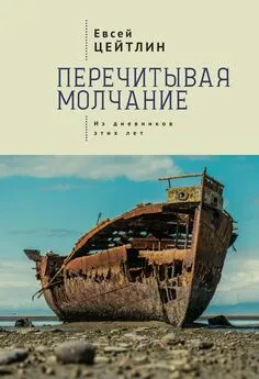 Евсей Цейтлин - Перечитывая молчание. Из дневников этих лет