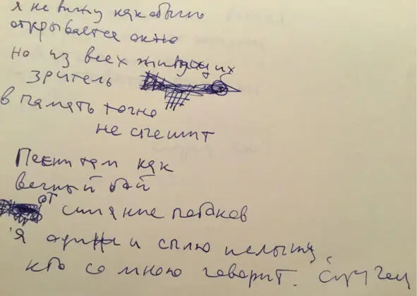 ДВЕ МОГИЛЫ Очертания видимые мной сейчас вокруг могил напомнили с подачи - фото 49