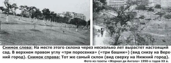 Рассказывают что раньше этот склон был совершенно зеленым но деревья нещадно - фото 45