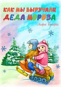 Андрей Богдарин - Как мы выручали Деда Мороза