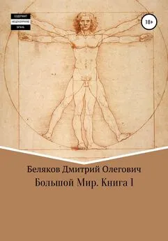 Дмитрий Беляков - Большой мир. Книга 1