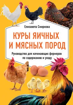 Елизавета Смирнова - Куры яичных и мясных пород. Руководство для начинающих фермеров по содержанию и уходу