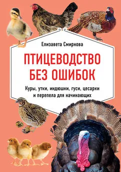 Елизавета Смирнова - Птицеводство без ошибок. Куры, утки, индюшки, гуси, цесарки и перепела для начинающих