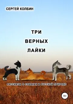 Сергей Колбин - Три верных лайки. Рассказы о собаках и русской природе