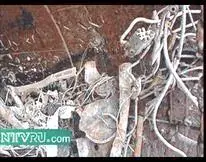 Выше на фотографиях приведены кадры из этого фильма осевшие в интернете вид - фото 50