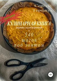 Сергей Терещук - Почти кулинарная книга с рецептами самосохранения и 540 шагов под зонтом