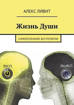 Алекс Ли́вит - Жизнь Души. Самопознание без религии