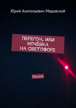 Юрий Медовской - Перегон, или Ночёвка на светофоре. Рассказ