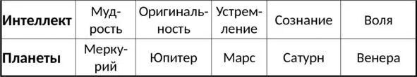 Классификация и физиологические функции внутренних органов Внутренние органы - фото 5
