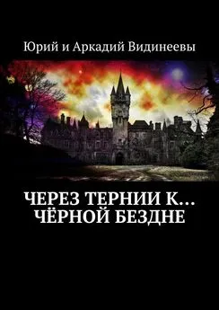 Юрий и Аркадий Видинеевы - Через тернии к… чёрной бездне