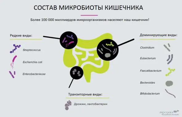 Микрофлора может быть симбиотной или патогенной Симбиотная означает хорошая - фото 9