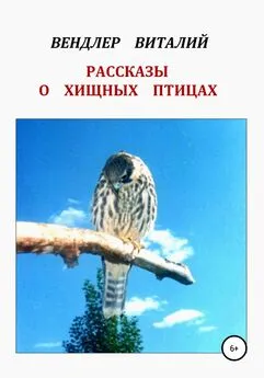 Виталий Вендлер - Рассказы о хищных птицах