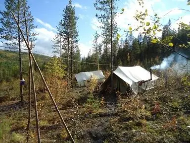 Все смотрели в небо Великое переселение птиц никого не могло оставить - фото 2