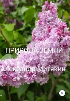 Александр Митякин - Природа Земли