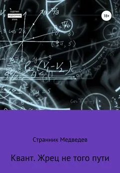 Странник Медведев - Квант. Жрец не того пути