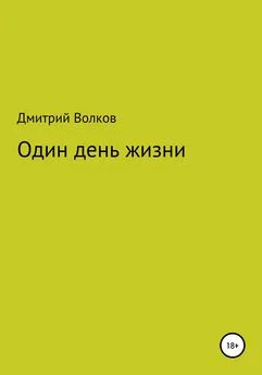 Дмитрий Волков - Один день жизни