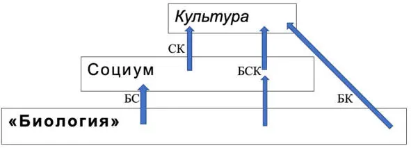Илл 2 Процессы привнесения биологии в культуру Однако в некоторых типах - фото 4
