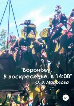 Ольга Морозова - «Воронову. В воскресенье, в 14:00»