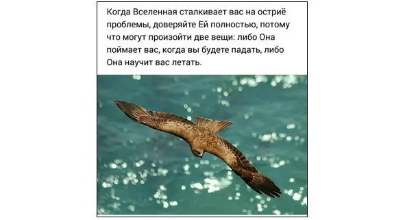 Нет не показалось Вокруг тебя частенько шарик летает оберегает тебя то - фото 16