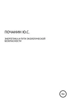 Юрий Почанин - Энергетика и путь экологической безопасности