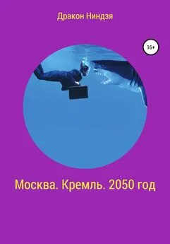 Дракон Ниндзя - Москва. Кремль. 2050 год