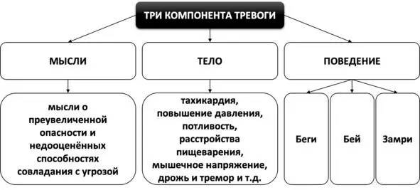 Рис 2 Компоненты тревоги Стадии развития тревоги Таким образом в - фото 3