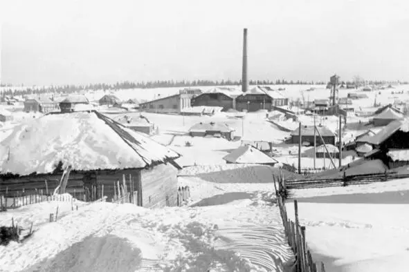 Все фотографии Сарса сделал Николай Сулима мамин коллега Поселок состоит из - фото 5