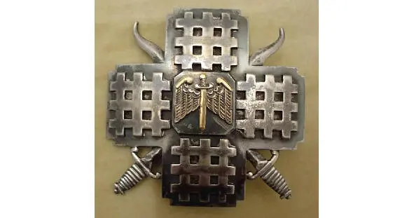 Решетка символ страданий за свободу эмблема националистической Железной - фото 6