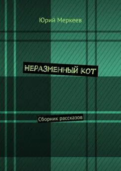 Юрий Меркеев - Неразменный кот. Сборник рассказов