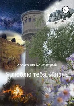 Александр Каменецкий - Я люблю тебя, Жизнь