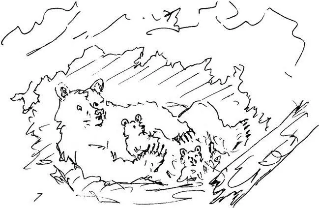 И нужно было так случиться что белка кормилась на ёлке рядом с берлогой - фото 3