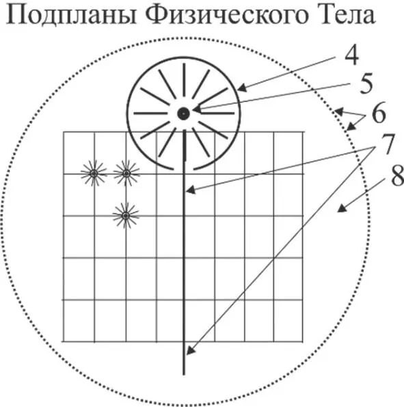 Дальше из этих световодиков постепенно формируются две даже сразу три - фото 16