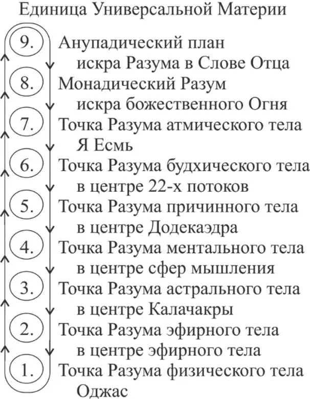 И когда оно в синтезе восходит то в Анупадическом плане вот здесь вот так - фото 26