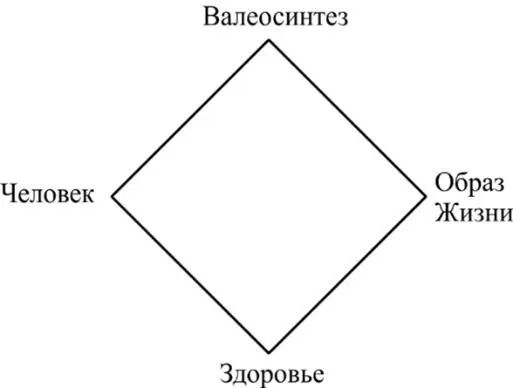 Где Отца как такового выражает валеосинтез Почему валеосинтез Вопервых - фото 40