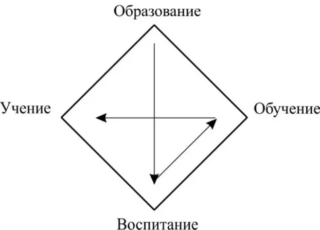 Вот такая схема накопления жизни Что это значит Валеосинтез идёт как - фото 42